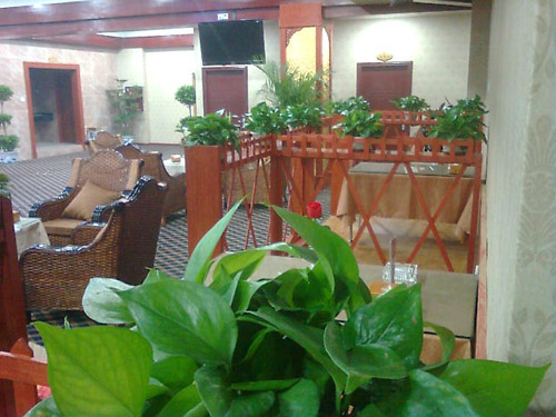 茶餐厅植物租摆案例（二）
