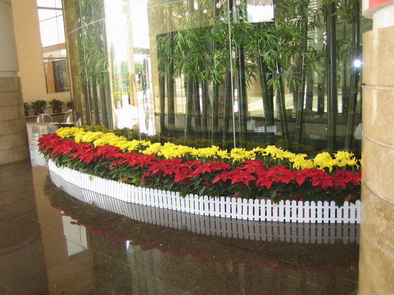 大厅花卉装饰